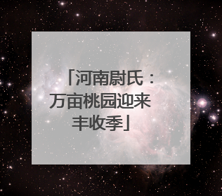 河南尉氏：万亩桃园迎来丰收季