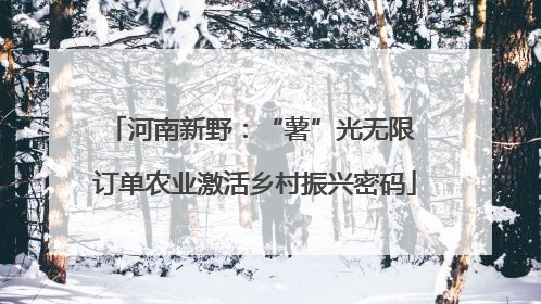 河南新野：“薯”光无限 订单农业激活乡村振兴密码