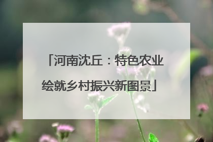 河南沈丘：特色农业绘就乡村振兴新图景