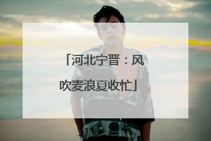 河北宁晋：风吹麦浪夏收忙