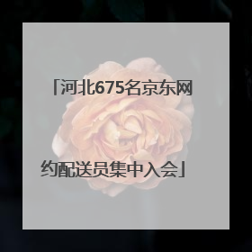 河北675名京东网约配送员集中入会
