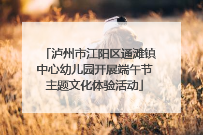 泸州市江阳区通滩镇中心幼儿园开展端午节主题文化体验活动