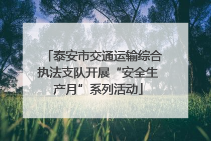 泰安市交通运输综合执法支队开展“安全生产月”系列活动