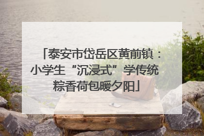 泰安市岱岳区黄前镇：小学生“沉浸式”学传统 粽香荷包暖夕阳