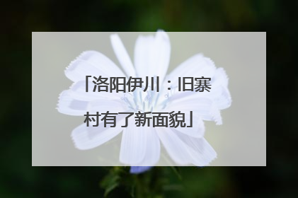 洛阳伊川：旧寨村有了新面貌