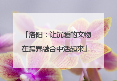 洛阳：让沉睡的文物在跨界融合中活起来
