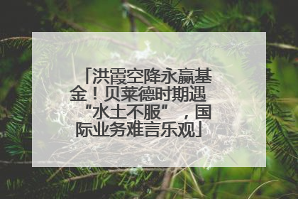 洪霞空降永赢基金！贝莱德时期遇“水土不服”，国际业务难言乐观