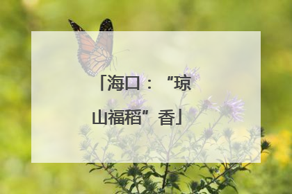 海口：“琼山福稻”香