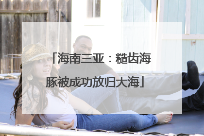 海南三亚：糙齿海豚被成功放归大海