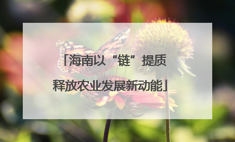 海南以“链”提质 释放农业发展新动能