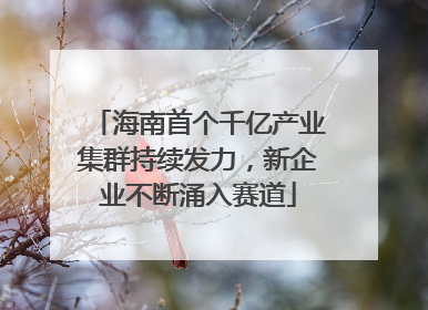 海南首个千亿产业集群持续发力，新企业不断涌入赛道