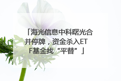 海光信息中科曙光合并停牌，资金杀入ETF基金找“平替”