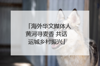 海外华文媒体人黄河寻麦香 共话运城乡村振兴