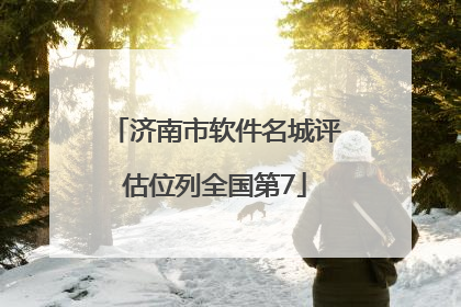 济南市软件名城评估位列全国第7