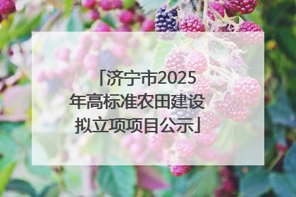 济宁市2025年高标准农田建设拟立项项目公示