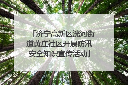 济宁高新区洸河街道黄庄社区开展防汛安全知识宣传活动