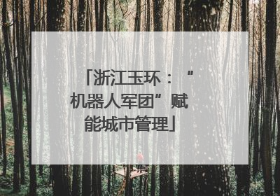 浙江玉环：“机器人军团”赋能城市管理