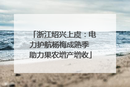 浙江绍兴上虞：电力护航杨梅成熟季 助力果农增产增收