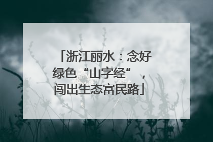 浙江丽水：念好绿色“山字经”，闯出生态富民路