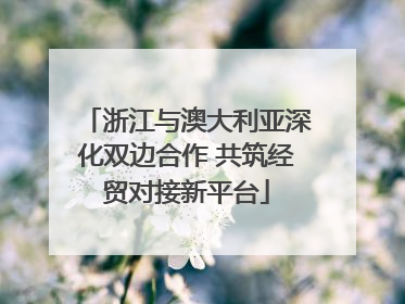 浙江与澳大利亚深化双边合作 共筑经贸对接新平台