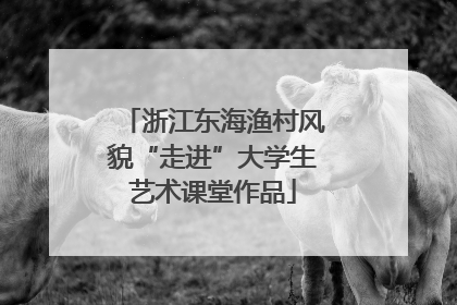 浙江东海渔村风貌“走进”大学生艺术课堂作品