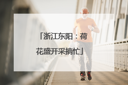 浙江东阳：荷花盛开采摘忙