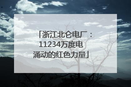 浙江北仑电厂：11234万度电涌动的红色力量