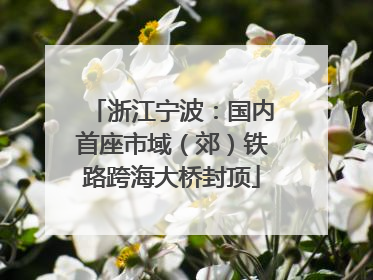 浙江宁波：国内首座市域（郊）铁路跨海大桥封顶
