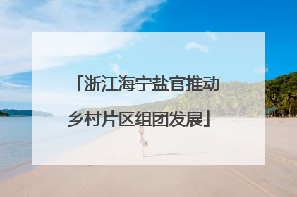 浙江海宁盐官推动乡村片区组团发展