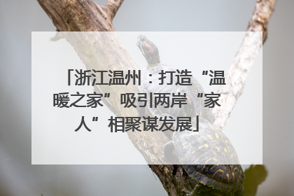 浙江温州：打造“温暖之家”吸引两岸“家人”相聚谋发展
