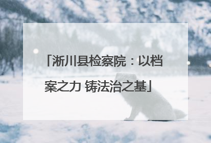 淅川县检察院：以档案之力 铸法治之基