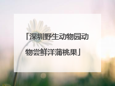 深圳野生动物园动物尝鲜洋蒲桃果