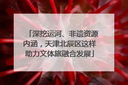 深挖运河、非遗资源内涵，天津北辰区这样助力文体旅融合发展