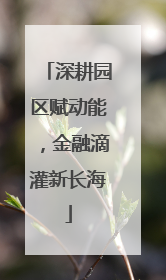 深耕园区赋动能，金融滴灌新长海