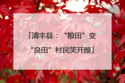 清丰县：“粮田”变“良田”村民笑开颜