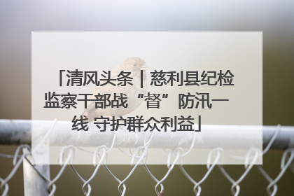 清风头条｜慈利县纪检监察干部战“督”防汛一线 守护群众利益