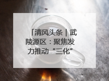 清风头条｜武陵源区：聚焦发力推动“三化”建设年行动