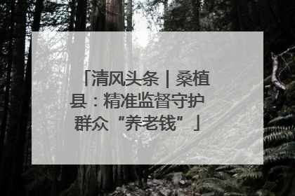 清风头条｜桑植县：精准监督守护群众“养老钱”