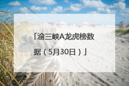 渝三峡A龙虎榜数据（5月30日）