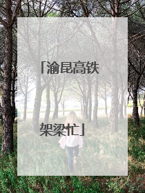 渝昆高铁架梁忙