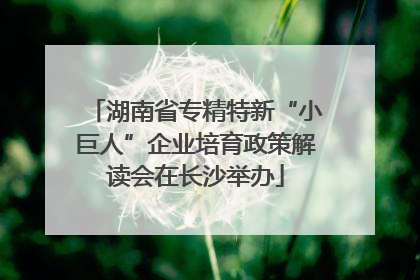 湖南省专精特新“小巨人”企业培育政策解读会在长沙举办