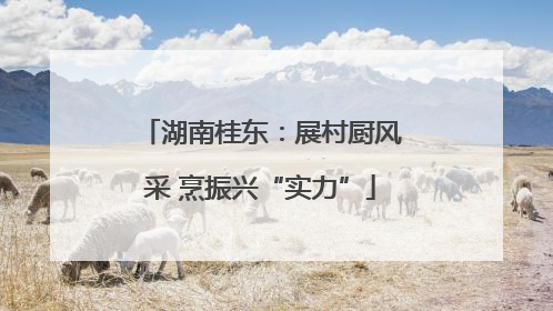 湖南桂东：展村厨风采 烹振兴“实力”