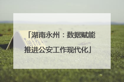 湖南永州：数据赋能推进公安工作现代化