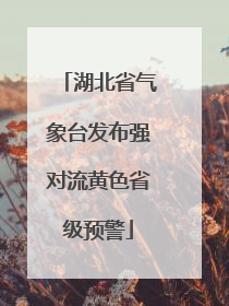 湖北省气象台发布强对流黄色省级预警