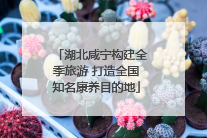 湖北咸宁构建全季旅游 打造全国知名康养目的地