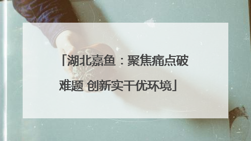 湖北嘉鱼：聚焦痛点破难题 创新实干优环境