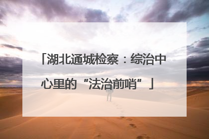 湖北通城检察：综治中心里的“法治前哨”