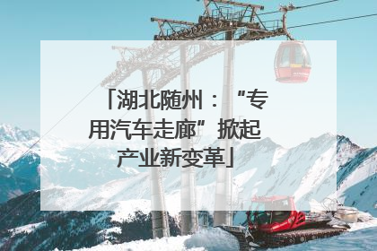 湖北随州：“专用汽车走廊”掀起产业新变革