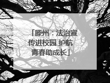 滕州：法治宣传进校园 护航青春助成长