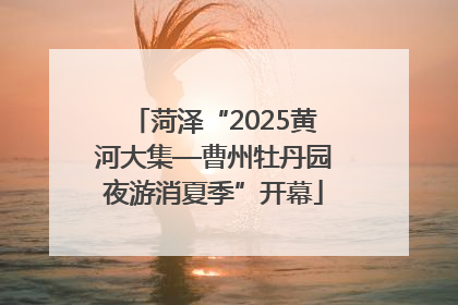菏泽“2025黄河大集—曹州牡丹园夜游消夏季”开幕